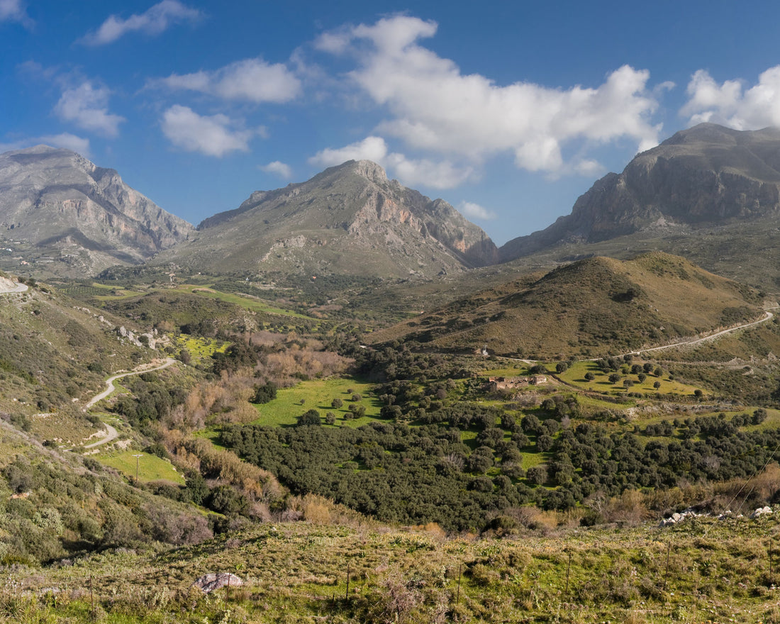 Cretan Honey and Herbs - A Unique Combination